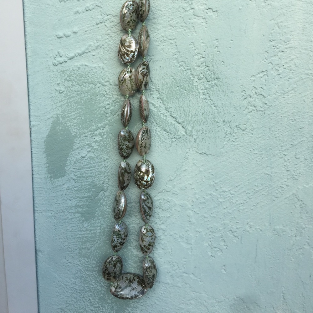 Shell Necklace
